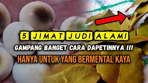 nogo dino rumus judi bola cap jiki